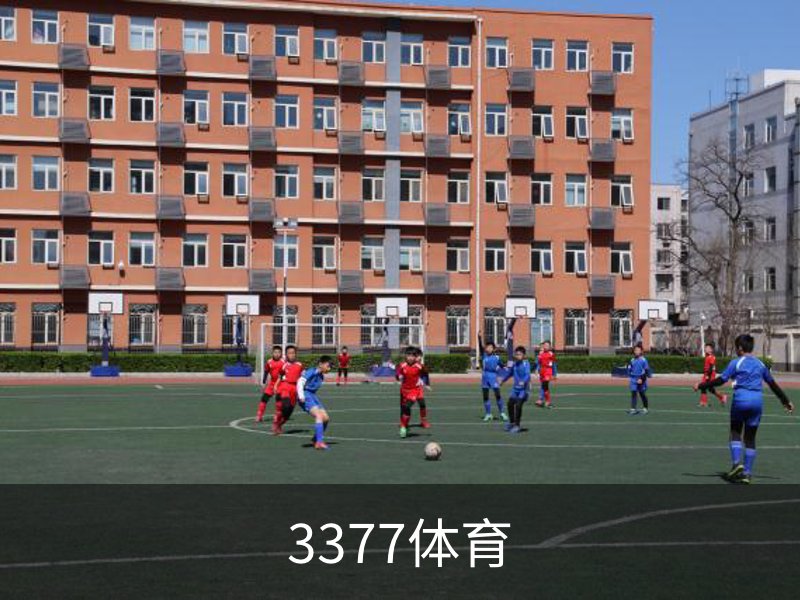 3377体育简介